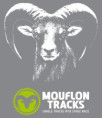 Mouflon tracks 2026